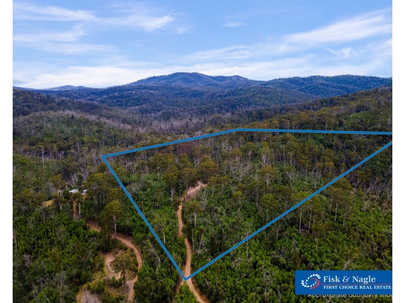 Lot 25, 570 Fulligans Road, Pericoe NSW 2550