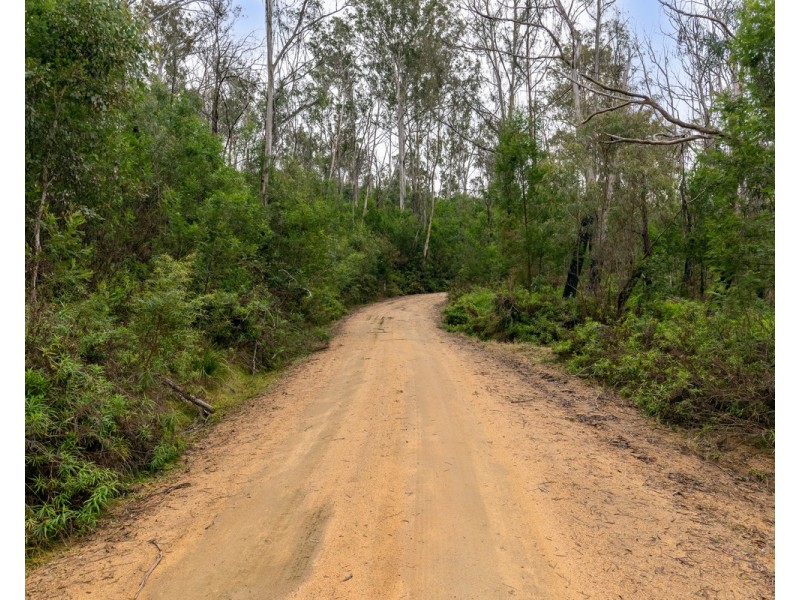 Lot 25, 570 Fulligans Road, Pericoe NSW 2550