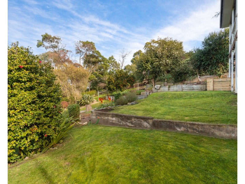 20 Belmore Street, Bega NSW 2550