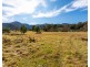 27 Yankees Gap Fire Trail, Bemboka NSW 2550