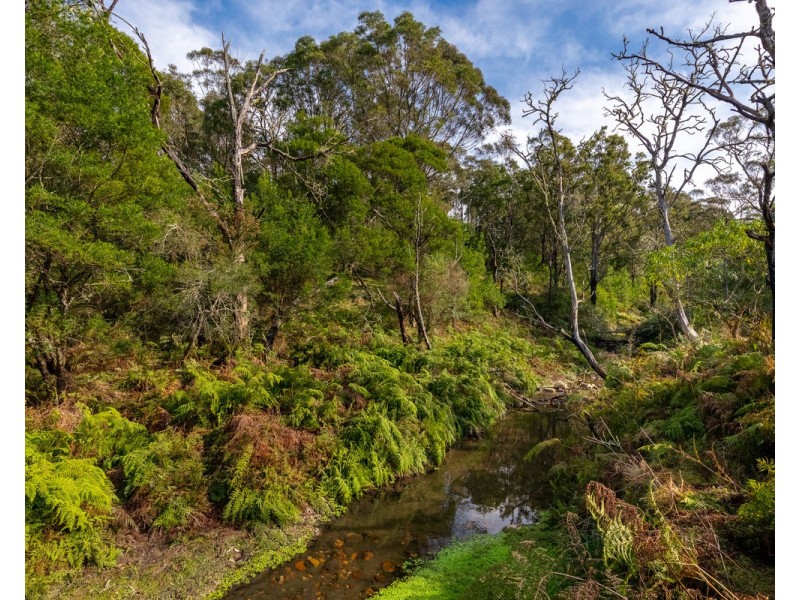 27 Yankees Gap Fire Trail, Bemboka NSW 2550