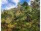 27 Yankees Gap Fire Trail, Bemboka NSW 2550
