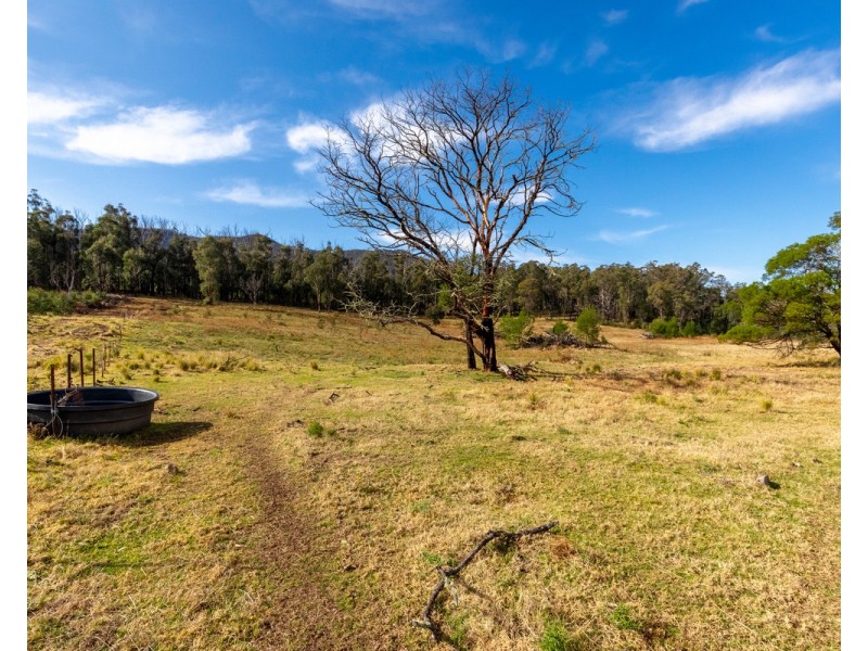 27 Yankees Gap Fire Trail, Bemboka NSW 2550