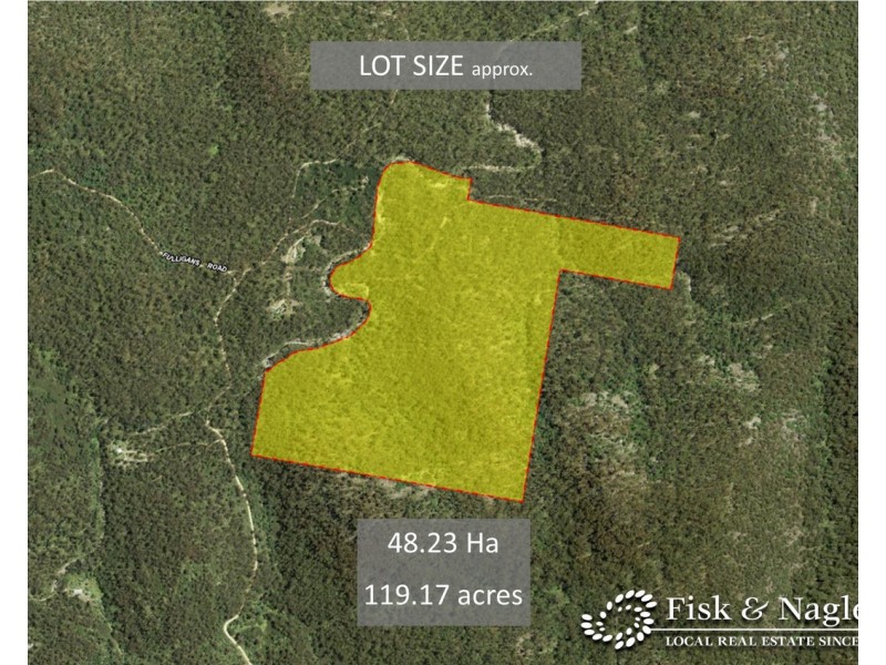 Lot 130, DP750228 Fulligans Road, Pericoe NSW 2550