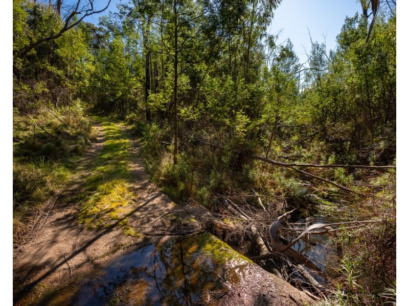 Lot 130, DP750228 Fulligans Road, Pericoe NSW 2550