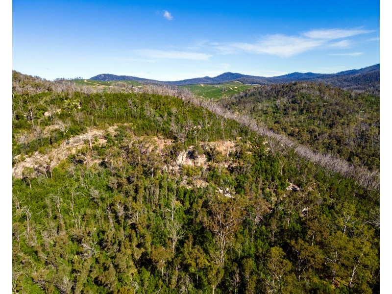 Lot 130, DP750228 Fulligans Road, Pericoe NSW 2550