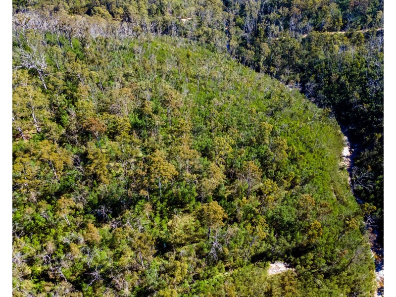 Lot 130, DP750228 Fulligans Road, Pericoe NSW 2550