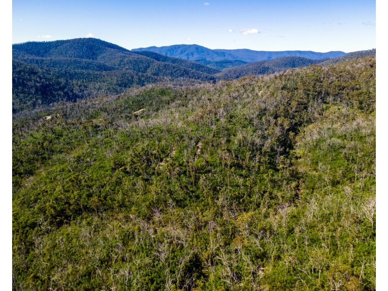 Lot 130, DP750228 Fulligans Road, Pericoe NSW 2550