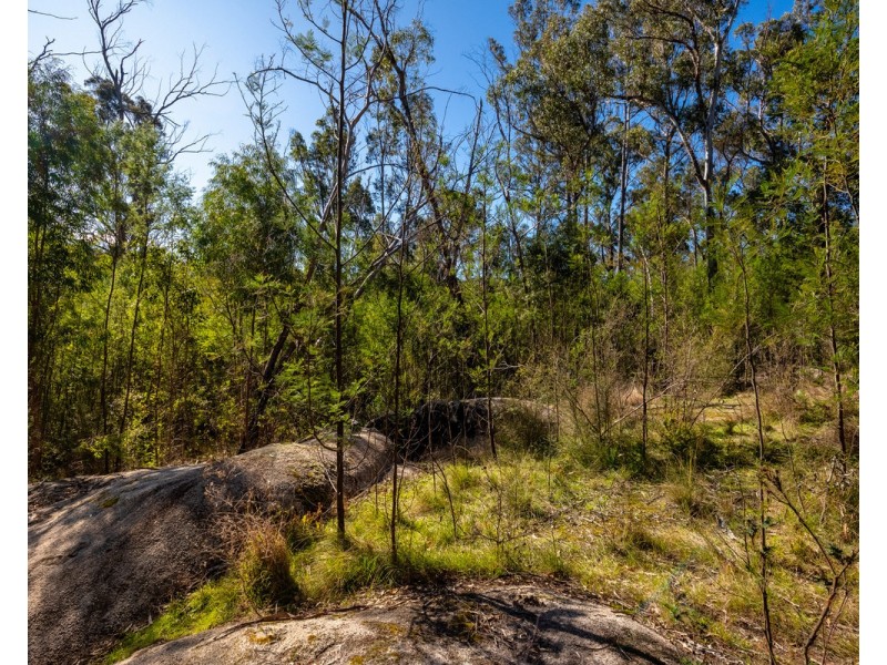 Lot 130, DP750228 Fulligans Road, Pericoe NSW 2550