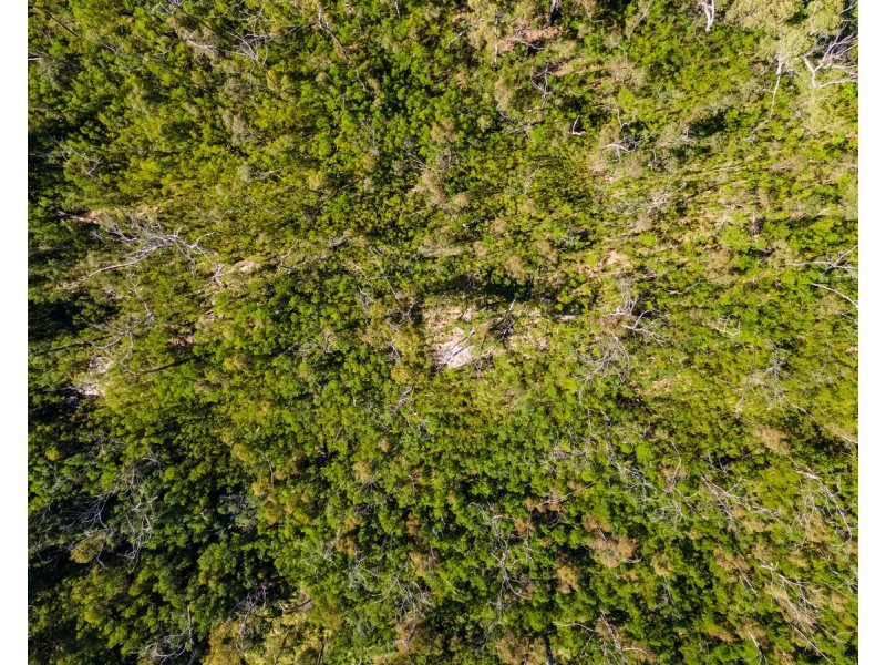 Lot 130, DP750228 Fulligans Road, Pericoe NSW 2550