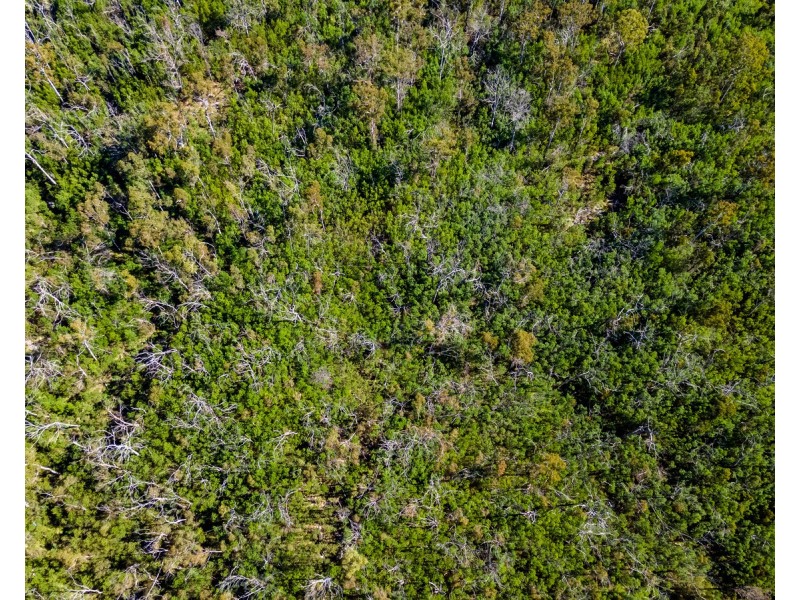 Lot 130, DP750228 Fulligans Road, Pericoe NSW 2550