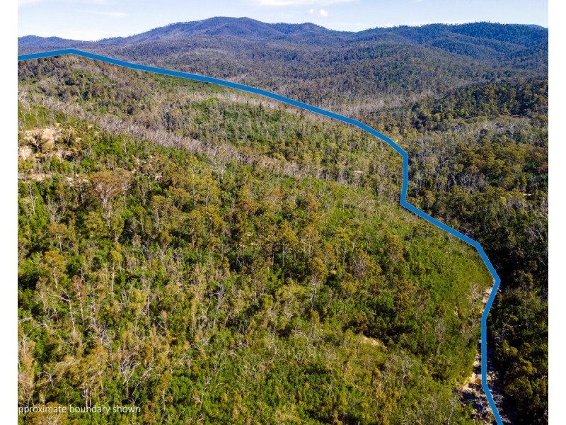 Lot 130, DP750228 Fulligans Road, Pericoe NSW 2550