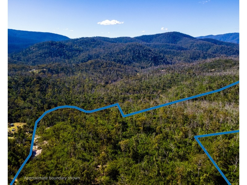 Lot 130, DP750228 Fulligans Road, Pericoe NSW 2550