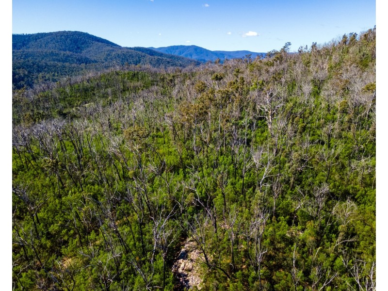 Lot 130, DP750228 Fulligans Road, Pericoe NSW 2550