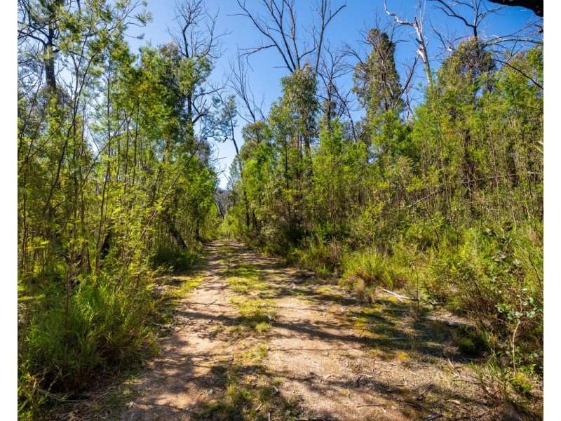 Lot 130, DP750228 Fulligans Road, Pericoe NSW 2550