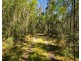Lot 130, DP750228 Fulligans Road, Pericoe NSW 2550