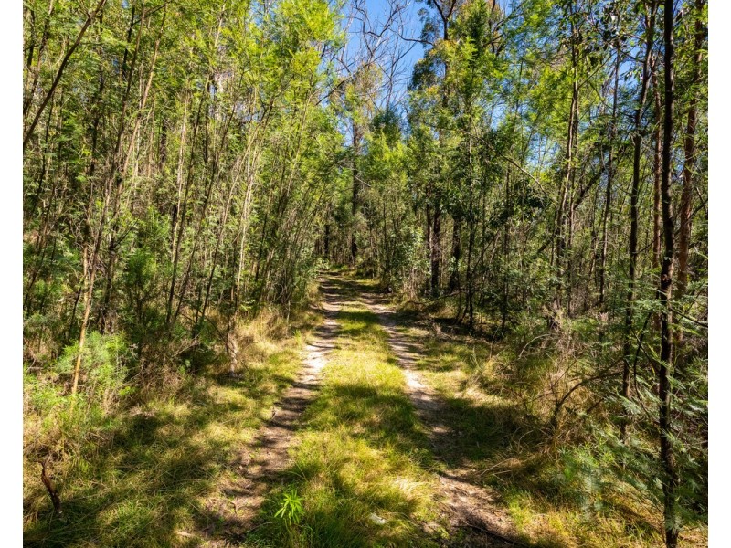 Lot 130, DP750228 Fulligans Road, Pericoe NSW 2550