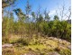 Lot 130, DP750228 Fulligans Road, Pericoe NSW 2550