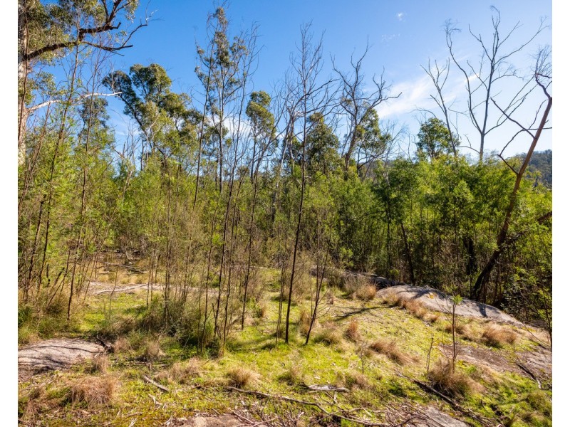 Lot 130, DP750228 Fulligans Road, Pericoe NSW 2550