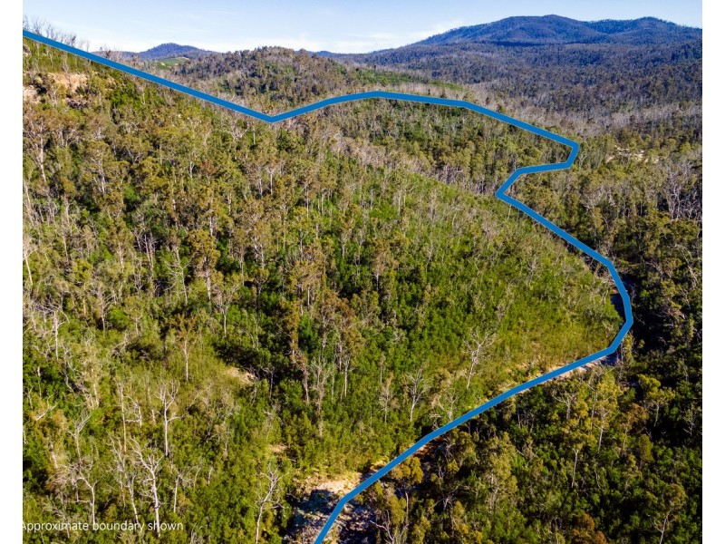 Lot 130, DP750228 Fulligans Road, Pericoe NSW 2550