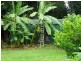 Malanda QLD 4885