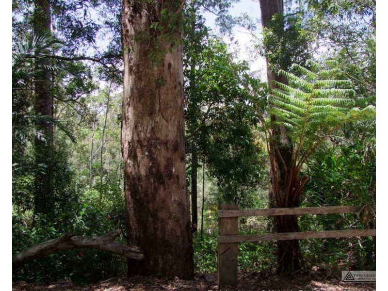 Ravenshoe QLD 4888