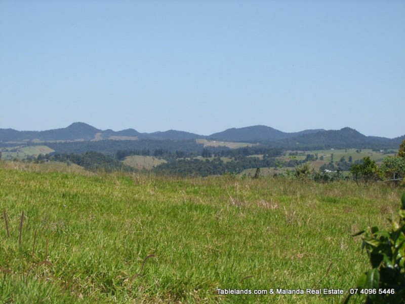 Millaa Millaa QLD 4886