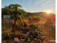 Chillagoe QLD 4871