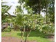Millaa Millaa QLD 4886