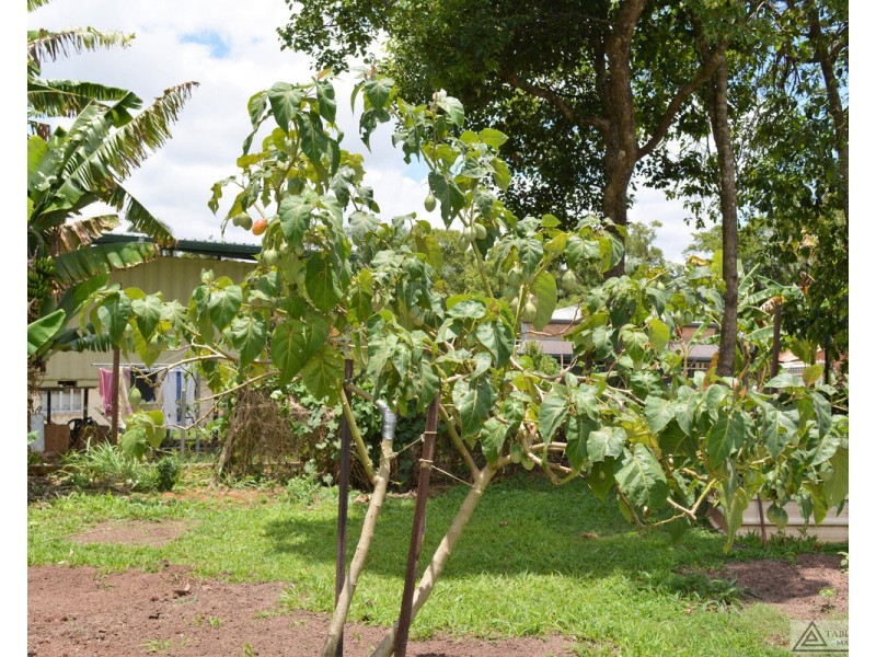 Millaa Millaa QLD 4886