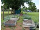 Millaa Millaa QLD 4886