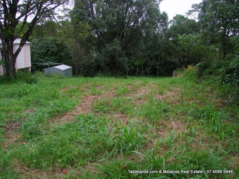 Millaa Millaa QLD 4886