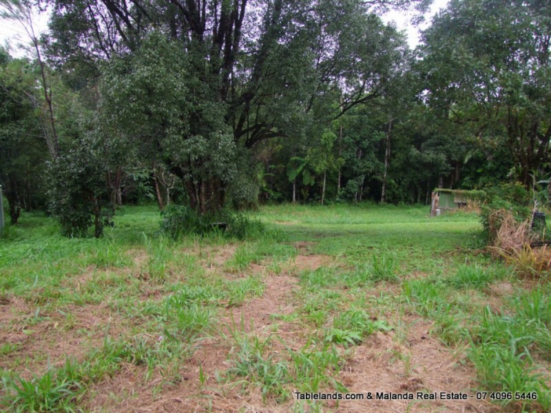 Millaa Millaa QLD 4886