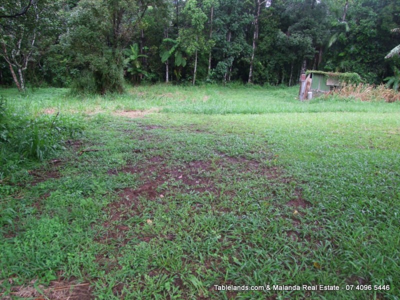 Millaa Millaa QLD 4886