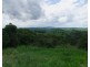 Tarzali QLD 4885