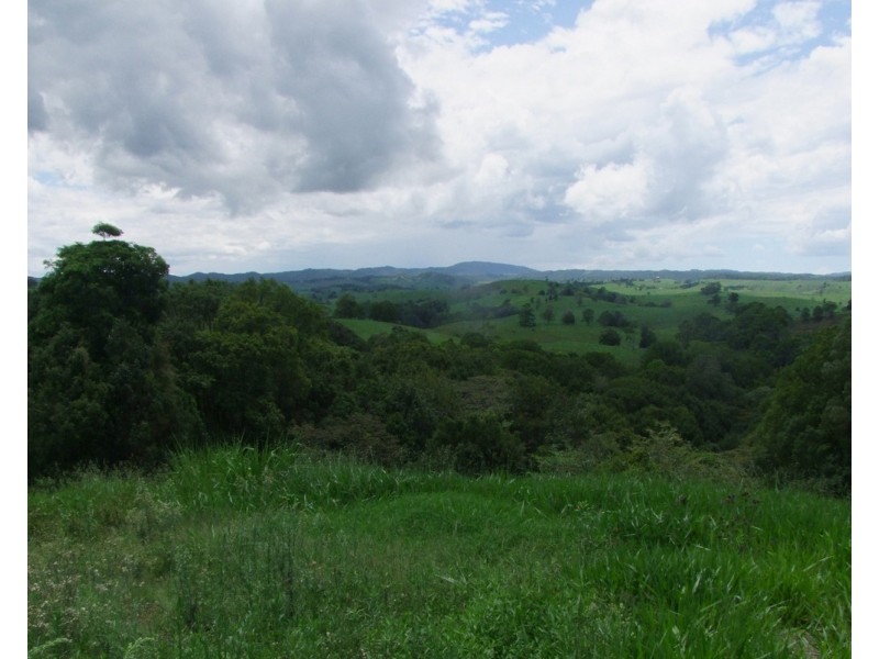 Tarzali QLD 4885