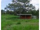 Tarzali QLD 4885