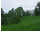 Tarzali QLD 4885