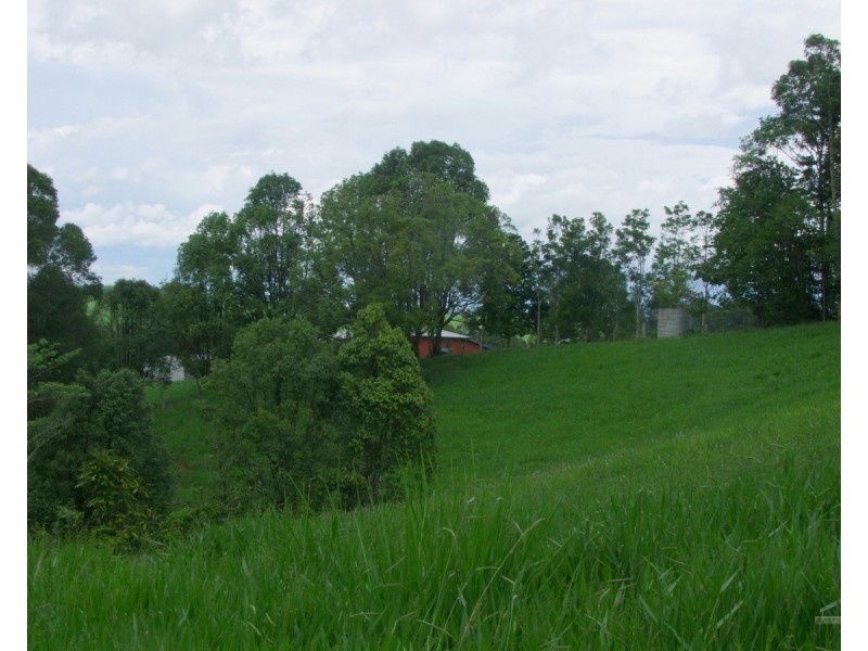 Tarzali QLD 4885