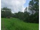 Tarzali QLD 4885