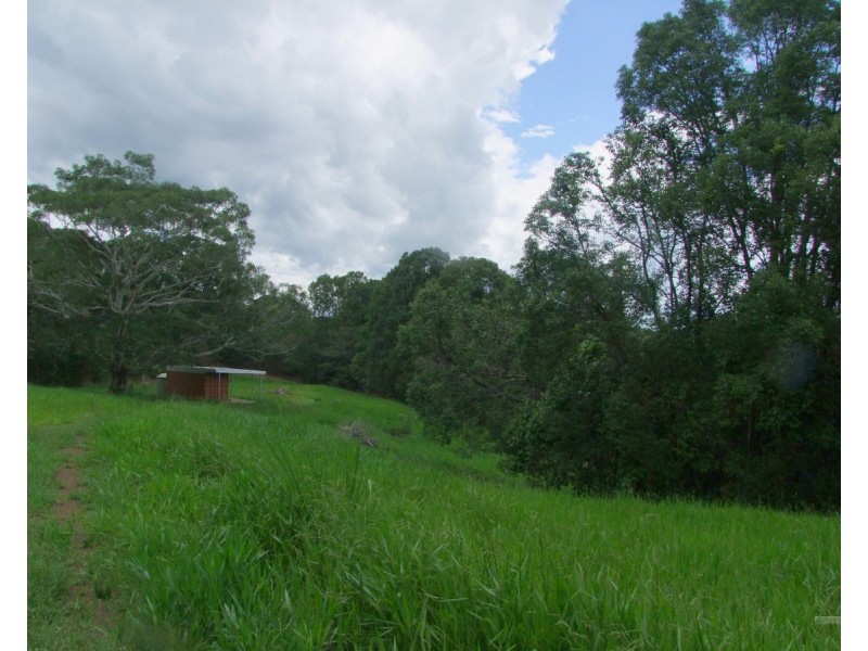 Tarzali QLD 4885