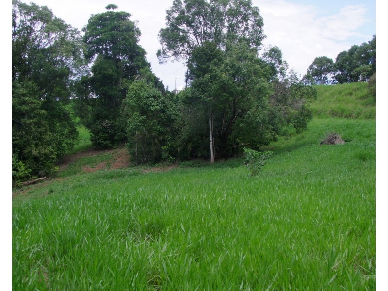 Tarzali QLD 4885