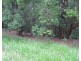 Tarzali QLD 4885