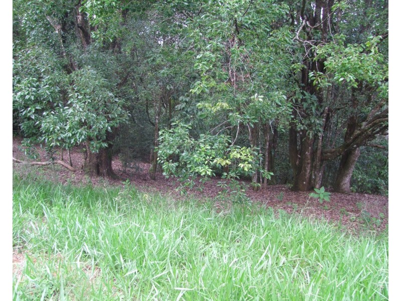 Tarzali QLD 4885