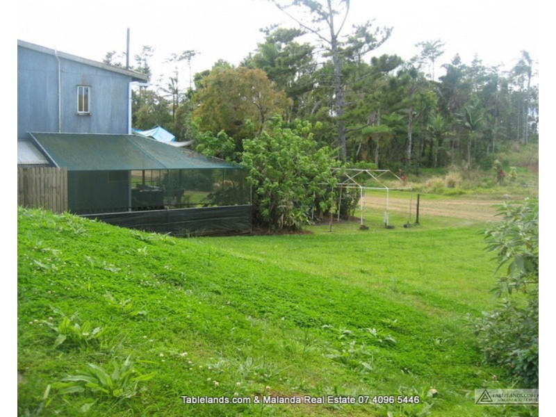 Millaa Millaa QLD 4886