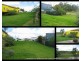 Millaa Millaa QLD 4886