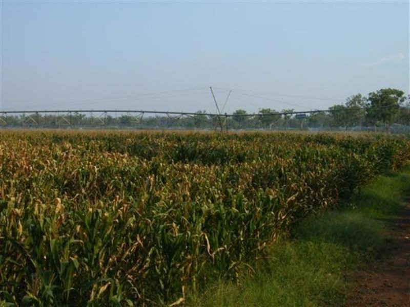 Innot Hot Springs QLD 4872