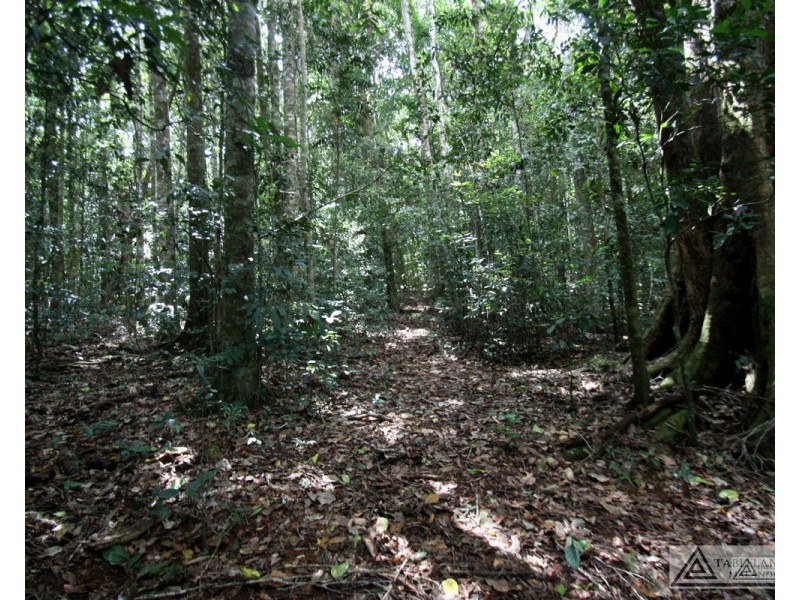 Evelyn QLD 4888