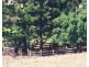 Mungalli QLD 4886