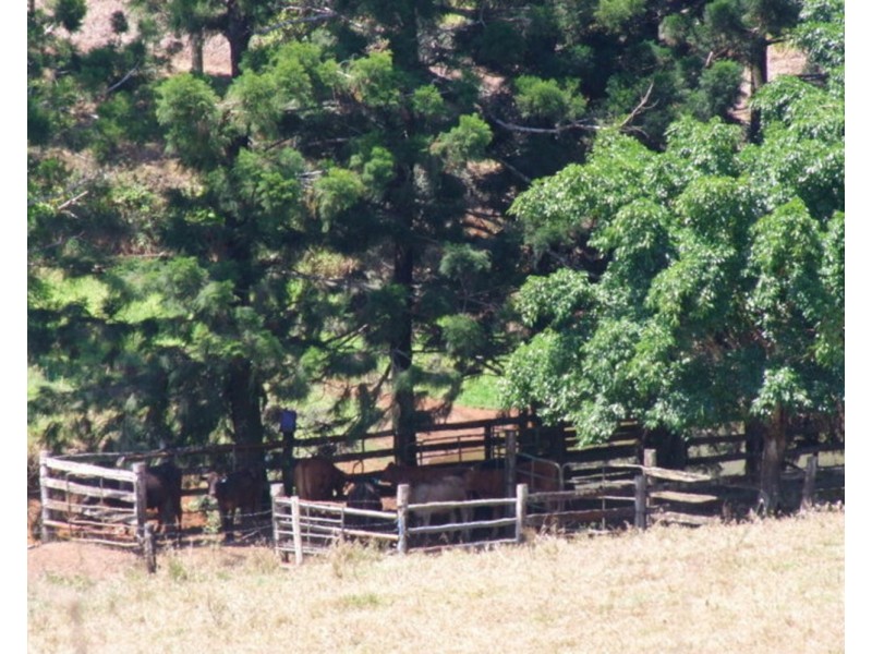 Mungalli QLD 4886